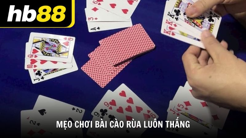 Mẹo chơi bài cào rùa luôn thắng từ chuyên gia HB88